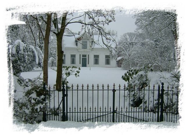 Grovestins in de sneeuw